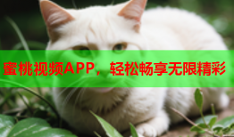 蜜桃视频APP，轻松畅享无限精彩