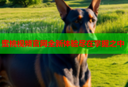 蜜桃视频官网全新体验尽在掌握之中